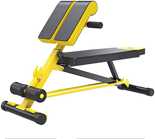 Byakns Home or Commercial Leg Muscle Fitness equipmentMulti-Functional Dumbbell Bench, Roman Chair with 5 Adjustments, Abdominal Hyper Back Extension Bench, Ab Sit up Bench Home Strength Training