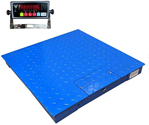 Industrial Floor Scale, 1000LB/0.5LB (24x24) with IN202 Accurate Indicator