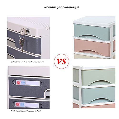 FPIGSHS Desktop Drawer Cabinet, 5 Drawer Flat File Storage Organizer