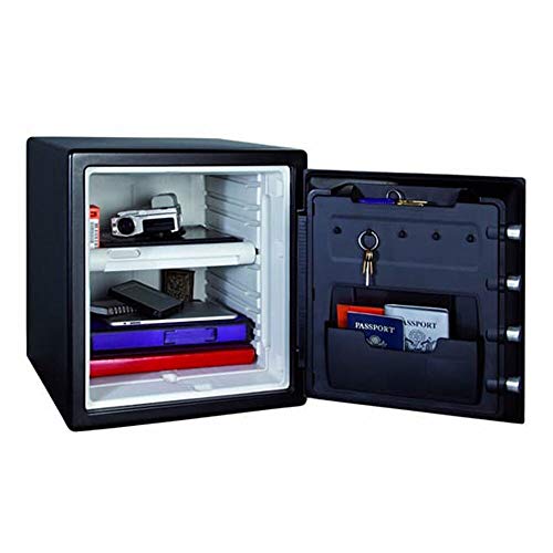 SentrySafe SFW123GTC Fire Chests, Safes