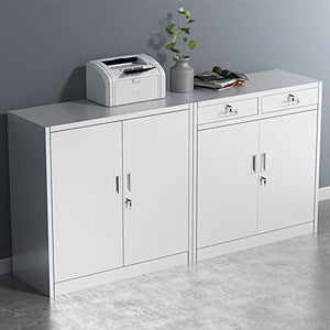 SUNESA File Cabinet with Lock Data Tool Storage - 1 Size