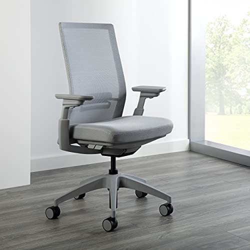 Allsteel Evo Office Chair with Lumbar Support, Adjustable Arms, Activated Recline - Gray Frost Mesh
