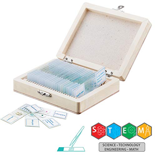 AmScope - M40-PS25W IQCREW by Kid's Premium 85+ Piece Microscope, Color Camera and Interactive Kid's Software Kit with Professional 25-Piece Prepared Slide Set
