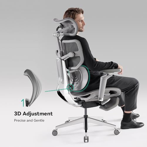 HINOMI X1 High Back Ergonomic Office Chair with Leg Rest, 6D Armrest, 4 Panel Backrest - Black
