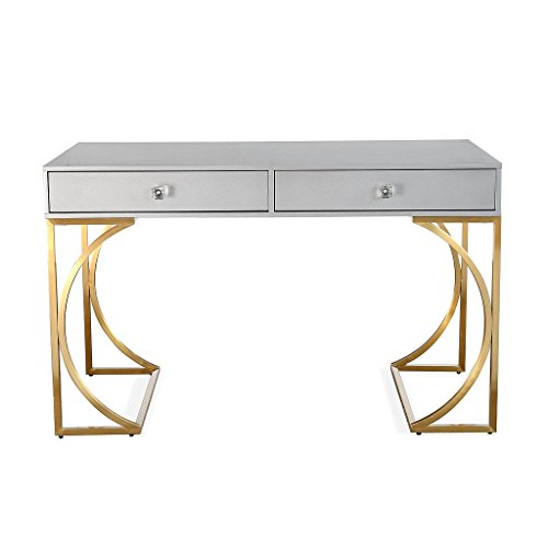 TOV Furniture TOV-G5497 Furniture Lexie Collection Wood and Stainless Steel Home Office Computer Desk, Grey