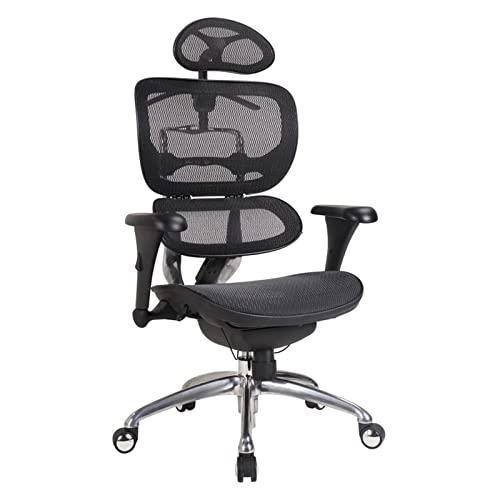 OOCCO Ergonomic Waist Computer Chair
