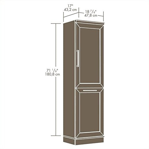 Sauder Homeplus Storage Cabinet in Dakota Oak
