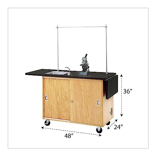 Diversified Woodcrafts Mobile Science Lab Table with Sink, Rod Sockets, and GFI Outlet, 48"W x 24"D x 36"H