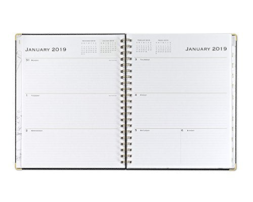Blue Sky 2019 Weekly & Monthly Planner, Hardcover, Twin-Wire Binding, 8.5" x 11", Carerra
