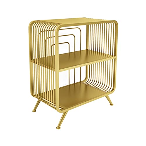 YUEYOULII Desktop Printer Stand Printer Stand Double Metal Shelf Home for Space Organizer As Storage Shelf with Storage Bookshelf Office Storage & Organization Printer Desk Stand (Color : Gold)