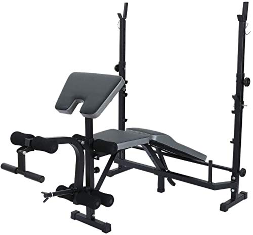 DLWDMRV Professional equipment auxiliary dumbbell bench Weight Benches, Multifunctional Strength Training Benches Workout Station Adjustable Dumbbell Weightlifting Bench with Preacher Curl Leg Develop