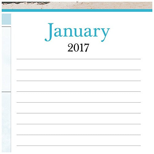 AT-A-GLANCE Desk Pad Calendar 2017, Monthly, 21-5/8 x 16-7/8", Images of the Sea Panoramic (DMD141-32)
