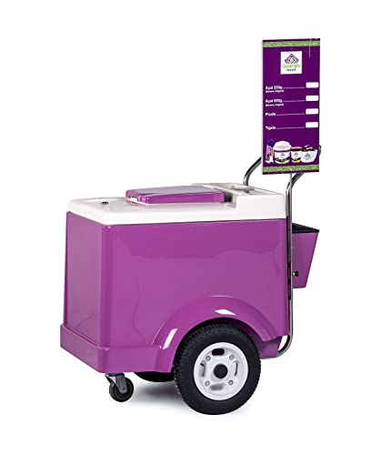 Generic Ice Cream Push Cart