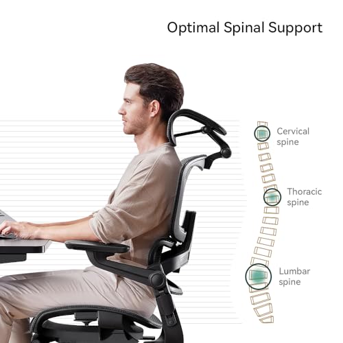 HINOMI H1 Pro V2 High Back Ergonomic Office Chair with Leg Rest, Foldable Design, Black