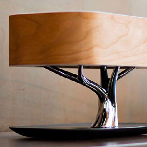 BIN Bedside Lamp Table Lamp Bluetooth Speaker, Wireless Charging,WiFi+Wirelesscharging