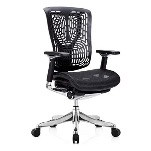 GM Seating Ergobilt High-Back Ergonomic Office Chair with Lumbar Support & Adjustable Armrest