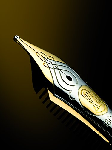 Pelikan M900 Toledo 900 Fountain Pen Nib F in Gift Box, Black