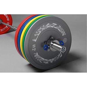 Barbell Plates Dumbbell Plate with Heavy Duty Stainless Steel, Colorful Bumper Plate in Different Weight, 5KG/10KG/15KG/20KG/25KG Barbell Weight Plate Strength Training Equipment (Size : 25KG2)