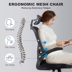 Flysky Ergonomic Office Desk Chair 6Pack - Mesh Home Office Desk Chairs with Lumbar Support & 3D Adjustable Armrests