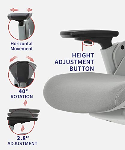 CLATINA Ergonomic High Swivel Executive Chair with Adjustable Height Headrest, 3D Armrest, Lumbar Support, Gray Mesh/High Back