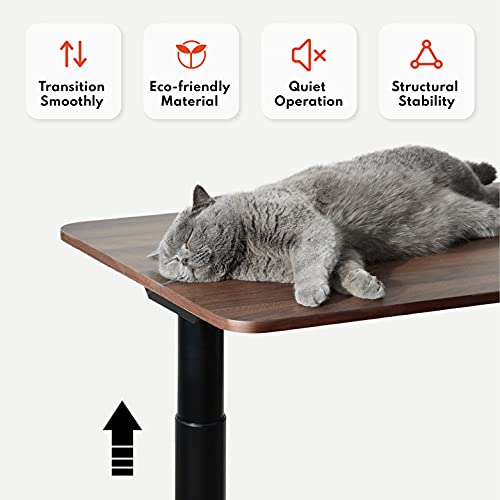 Harmati Electric Standing Desk Adjustable Height - 47 x 24 Inch Sit Stand Computer Desk, Stand Up Desk Table for Home Office, Black Frame/Walnut Top