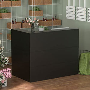 FAMAPY Modern Reception Desk with Large Storage Shelves and Drawers - Black