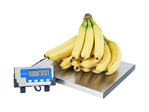 Avery Weigh-Tronix Saltner Brecknell 400 lb Portable Shipping Scale (SBWLPS400)