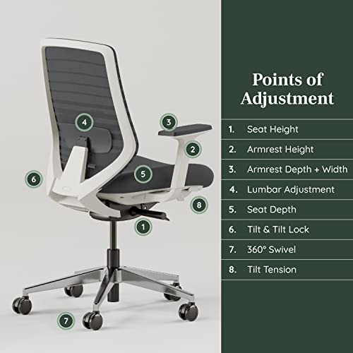 Branch Ergonomic Chair with Adjustable Lumbar Support, Breathable Mesh Backrest, Smooth Wheels - Graphite/White