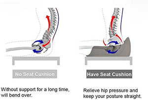 None Seat Cushion and Lumbar Support Pillow Orthopedic for Office Chair - Relieve Lower Back Pain, Women