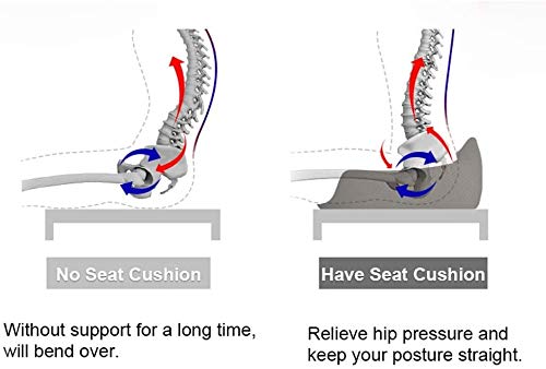 Seat Cushion and Lumbar Support Pillow Orthopedic for Office Chair - Relieve Lower Back Pain, Women