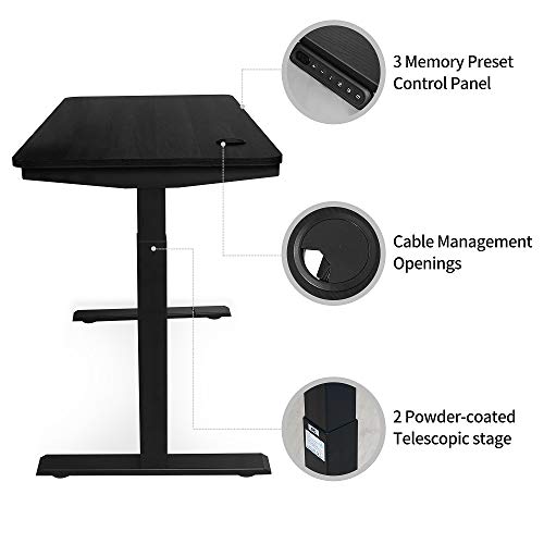 MAIDeSITe Electric Height Adjustable Standing Desk,55''x28''Home Office Desk,Wood Modern Furniture for Living Room, Décor, Display (Black)