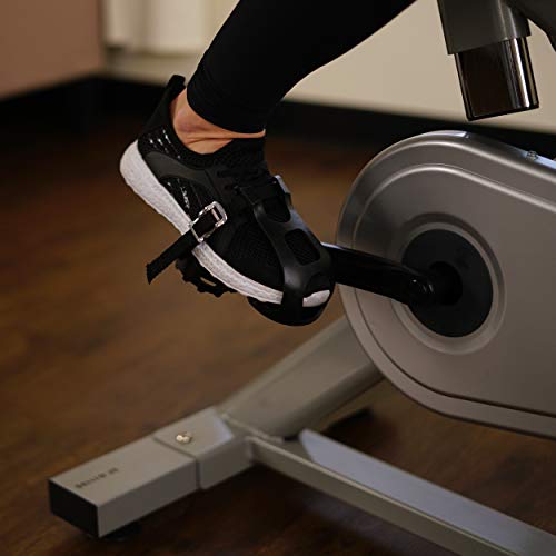 Sunny Health & Fitness Indoor Spin Bike Exercise Stationary Cycle Bike - SF-B1110S,Silver
