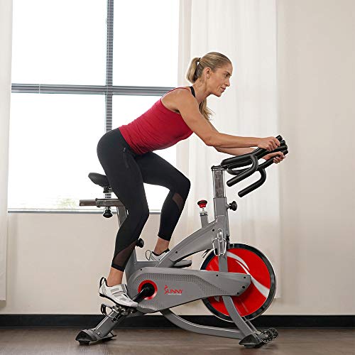 Sunny Health & Fitness AeroPro Indoor Cycling Bike - SF-B1711, Grey