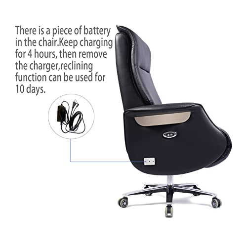 REDSIRIUS Leather High Back Reclining Office Chair with Foot Rest, Computer Gamer Swivel Desk - Ergonomic & Comfortable