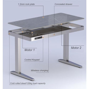 SanzIa Electric Standing Desk, Adjustable Height Computer Workstation with USB and 4 Memory Keyboard