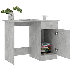 Canditree Modern Writing Desk with Storage Drawer and Cabinet, Computer Desk Workstation for Home Office (Concrete Gray)