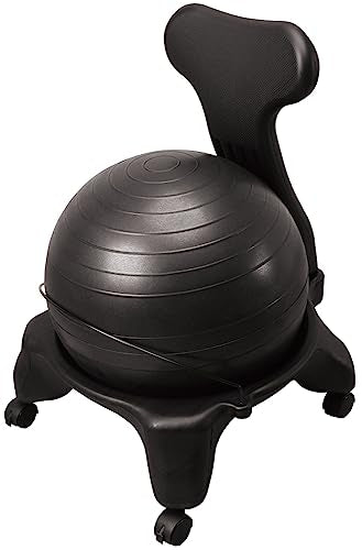 HATAS(秦運動具工業) Exercise Industrial 50cm Black Barbell - DB120CB