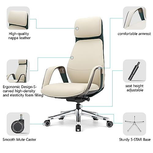 EUREKA ERGONOMIC Genuine Leather High Back Office Chair with Arms & Aluminum Base, Beige