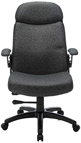 Mayline 6446AG2110 Comfort Series Big and Tall 500 lb. Task Chair with Pivot Arms, Gray/Charcoal