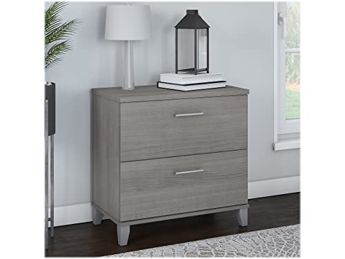 Bush Furniture Somerset 2-Drawer Lateral File Cabinet, Letter/Legal, Platinum Gray 30-Inch (WC81280)