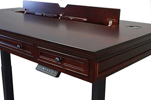 Martin Furniture MV384T-KIT Mount View Electric Sit/Stand, Brown