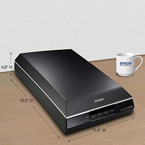 Epson Perfection V600 Photo Color Scanner - 6400 x 9600 dpi, Enlargements up to 17" x 22