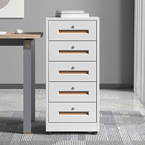 FIONEL 5 Drawer Vertical Metal File Cabinet with Lock - Gold