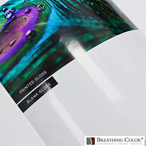 Vibrance Gloss Photo Printer Paper 10 mil 255 gsm Glossy Finish Premium Photo Paper Roll on 3inch Core 44 inches x 100 feet Works with Most Inkjet Printers Including Professional Makes and Models