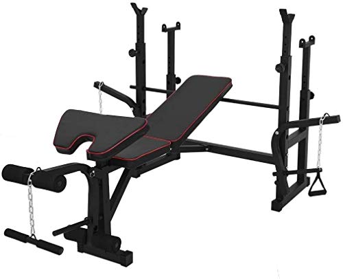 DLWDMRV Fitness aid Dumbbell Bench Adjustable Weight Bench, Squat Rack Indoor Multi-Function Weight, Strength Training Fitness Equipment for Full-Body Workout
