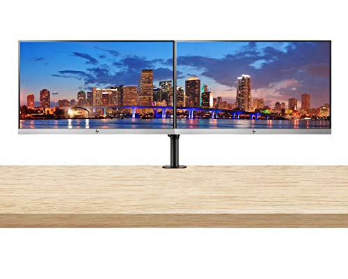 HP EliteDisplay E223 21.5 Inch IPS LED Backlit Monitor (1FH45A8#ABA) 2-Pack Display Bundle with Fully Adjustable Dual Monitor Stand and Desk Mount Clamp