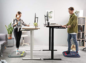 FEZIBO Dual Motor Height Adjustable Electric Standing Desk, 48 x 24 Inch Full Sit Stand Home Office Table with Splice Board, White Frame/White and Natural Top