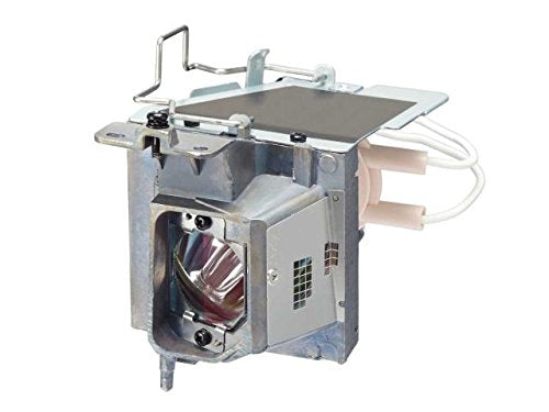 NEC NP40LP Replacement Lamp for NP-VE303 and NP-VE303X Projector