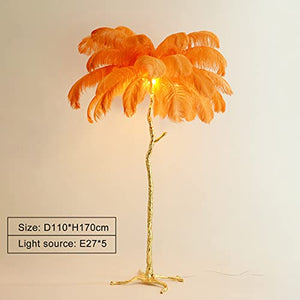 YAsao Ostrich Natural Feather LED Floor Lamp (Orange, 170CM)