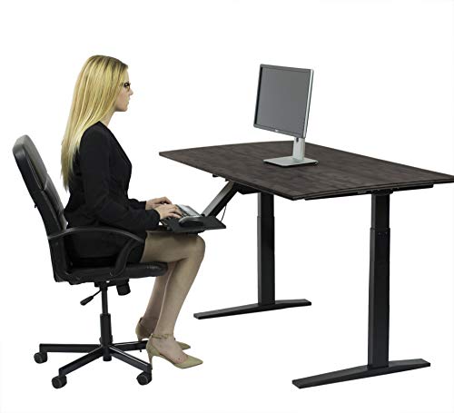 Rise UP Dual Motor Electric Standing Desk 60x30 Black Desktop Premium Ergonomic Adjustable Height sit Stand up Home Office Computer Desk Table Motorized Powered Modern Furniture Small Standup Table